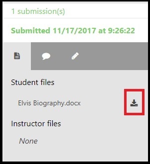 Download individual student submission icon